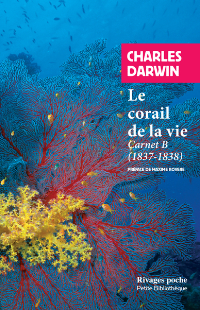 Le corail de la vie