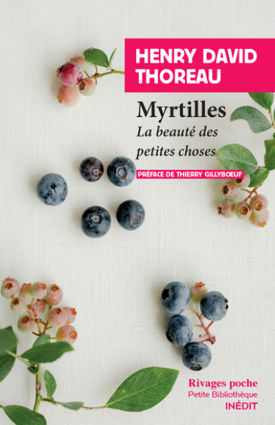 Myrtilles : La beauté des petites choses