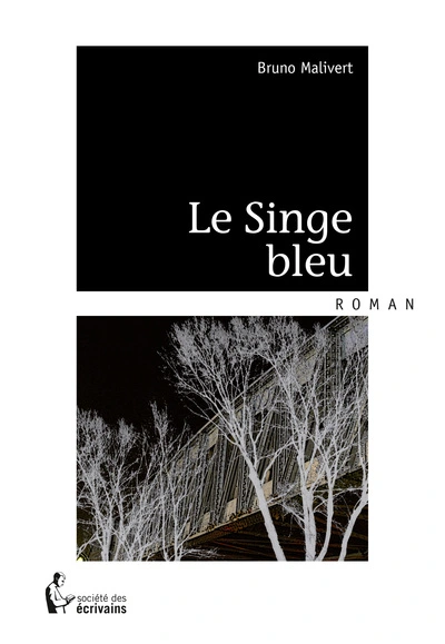 Le singe bleu