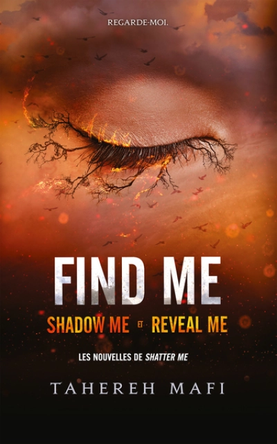 Insaisissable - Find me : Shadow me - Reveal me