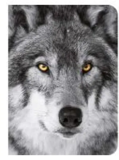 Loup