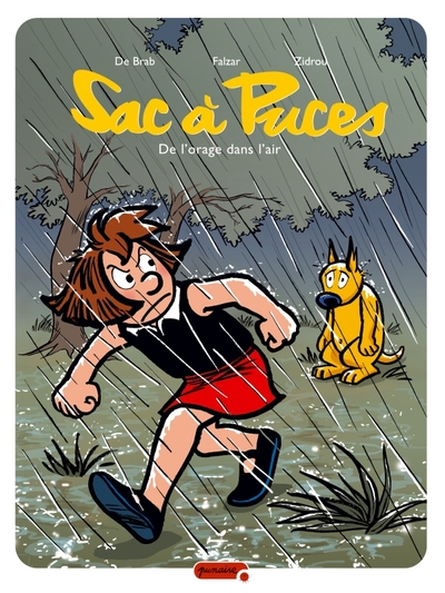 Sac à Puces, Tome 7 : De l'orage dans l'air