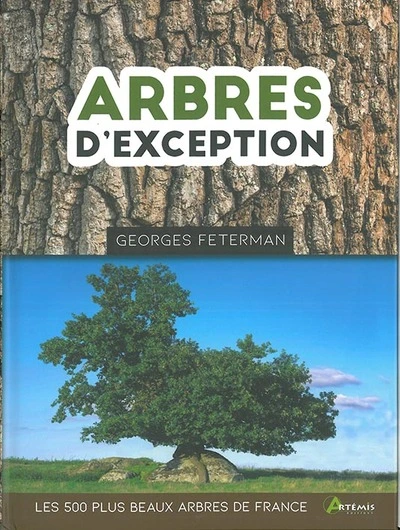 Arbres d'exception