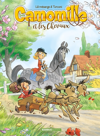 Camomille et les chevaux, tome 2 : Sacré Pompon