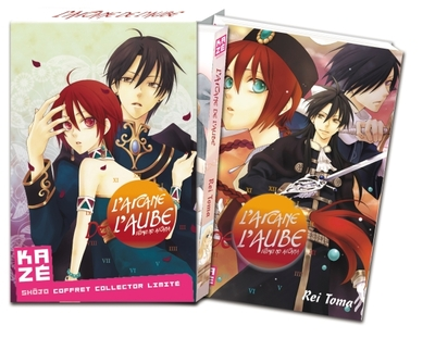 L'arcane de l'aube, tome 13