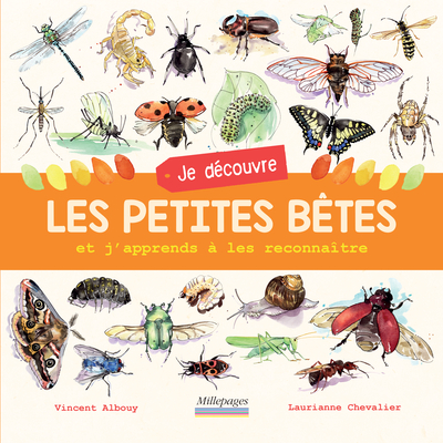 je découvre les petites bêtes et j'apprends à les reconnaître