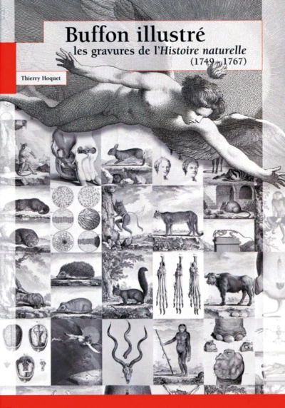 BUFFON ILLUSTRE LES GRAVURES DE L HISTOIRE NATURELLE