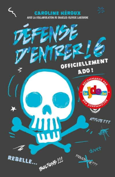 Défense d'entrer, tome 6 : Officiellement ado !