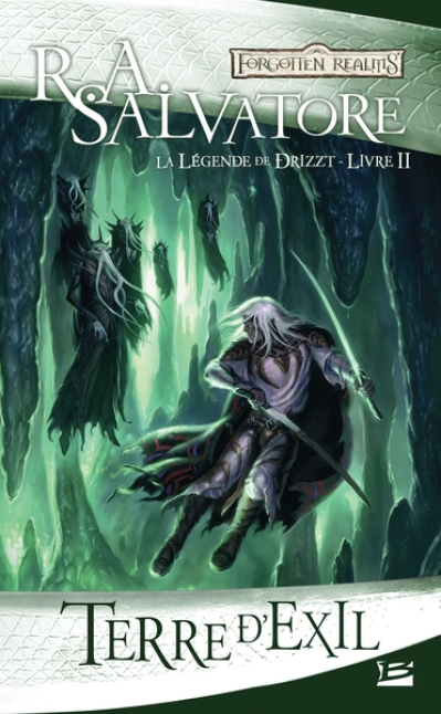 Les Royaumes Oubliés - La Légende de Drizzt 