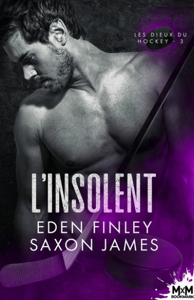 Les Dieux du hockey, tome 3 : L'Insolent
