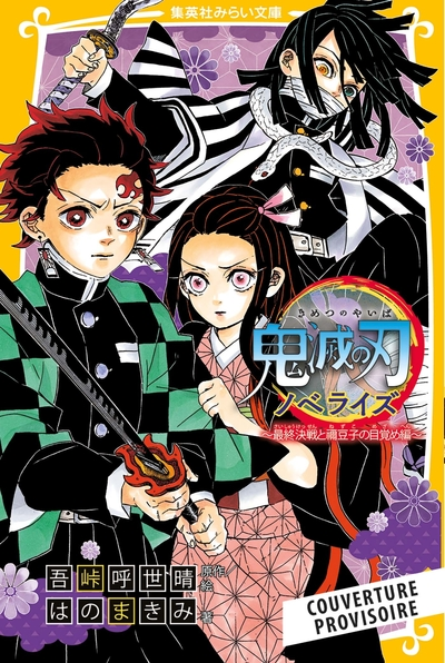 Demon Slayer - Roman jeunesse N°09