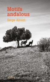 Motifs andalous