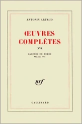 Oeuvres complètes, tome 16 : Cahiers de Rodez