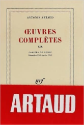 Oeuvres complètes, tome 19 : Cahiers de Rodez