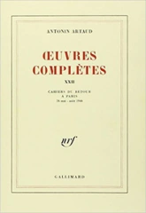 Oeuvres complètes, tome 22 : Cahiers du retour à Paris