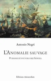 L' Anomalie sauvage