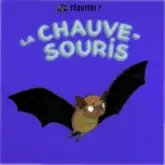 La chauve-souris (Téquitoi ?)