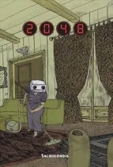 2048
