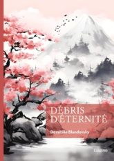 Débris déternité