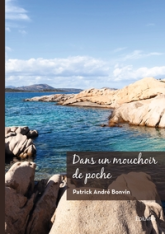 Dans un mouchoir de poche