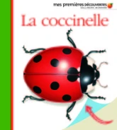 Mes premières découvertes : La coccinelle