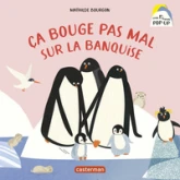 Ça bouge pas mal sur la banquise