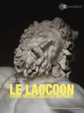 Le Laocoon entre Michel-Ange et Raphaël: un ressort de l'émulation