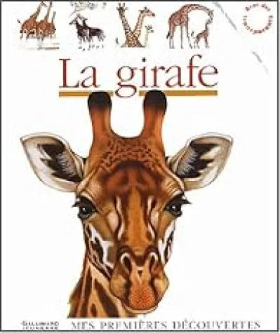 Mes premières découvertes : La girafe