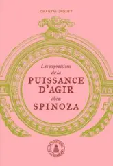 Les expressions de la puissance d'agir chez Spinoza