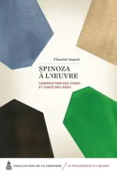 Spinoza à l'oeuvre