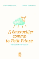 S'émerveiller comme Le Petit Prince