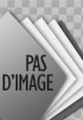 L'intervention sociale d'intérêt collectif : De la personne au territoire