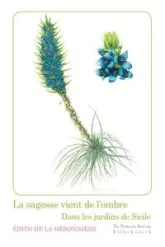 La sagesse vient de l'ombre