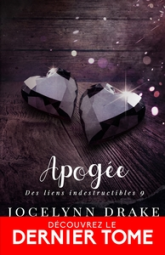 Des liens indestructibles, tome 9 : Apogée