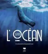 Sous l'océan