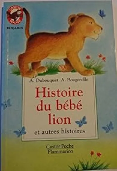 Histoire du bébé lion et autres histoires