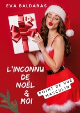 L'inconnu de Noël et moi (point de vue masculin)