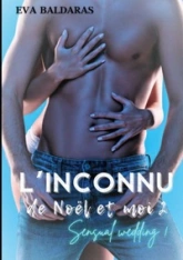L'inconnu de Noël et moi