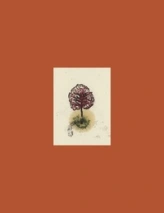 coffret ARBRES