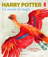 Harry Potter : A la découverte de l'Histoire de la Magie
