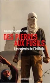 Des pierres aux fusils. Les Secrets de l'Intifada
