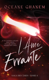 La saga des âmes - L'âme errante, tome 4