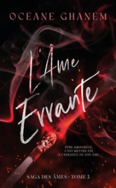L'Âme Errante - Saga des Âmes Tome 3: Après l'Âme Bleue