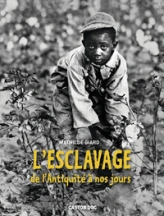 L'esclavage : De l'Antiquité à nos jours