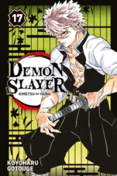 Demon Slayer, tome 17