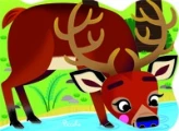 Cerf