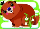 Marmotte