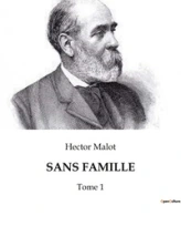 Sans famille, tome 1