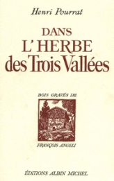 Dans l'herbe des Trois Vallées