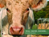 Veau, vache, cochon...